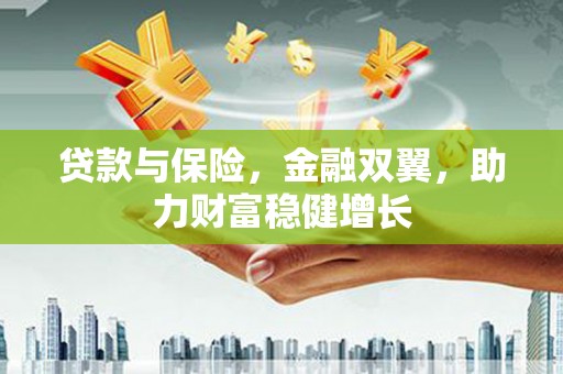 万荣贷款与保险，金融双翼，助力财富稳健增长