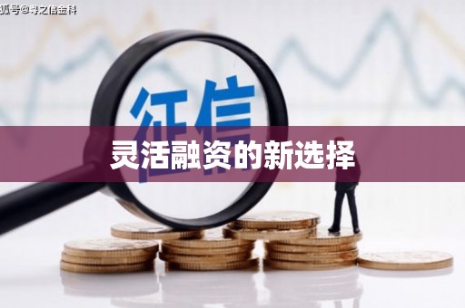 万荣灵活融资的新选择
