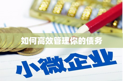 万荣如何高效管理你的债务