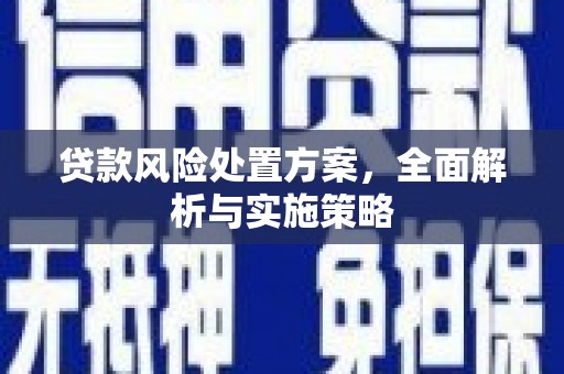 万荣贷款风险处置方案，全面解析与实施策略
